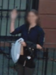 google street view wave